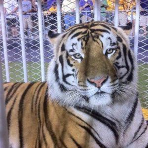 Meet your Posher, Ruth